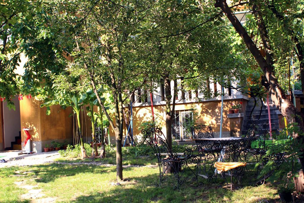 Hostel Costel Temeşvar Dış mekan fotoğraf