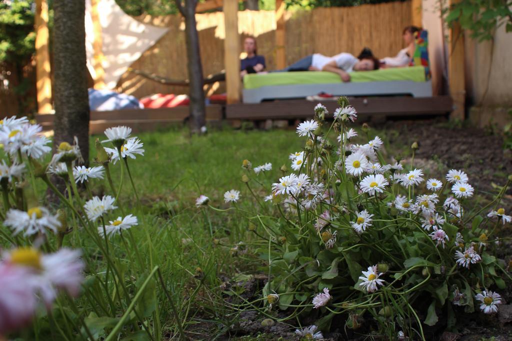 Hostel Costel Temeşvar Dış mekan fotoğraf