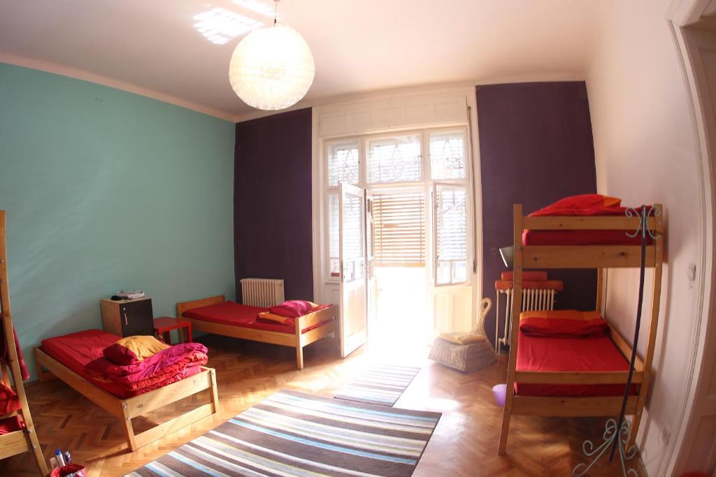 Hostel Costel Temeşvar Oda fotoğraf